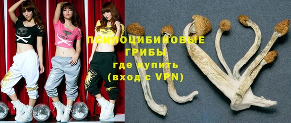 apvp Абаза