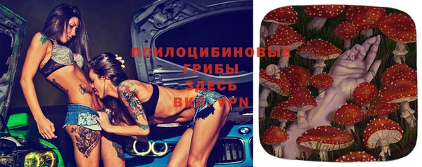 apvp Абаза
