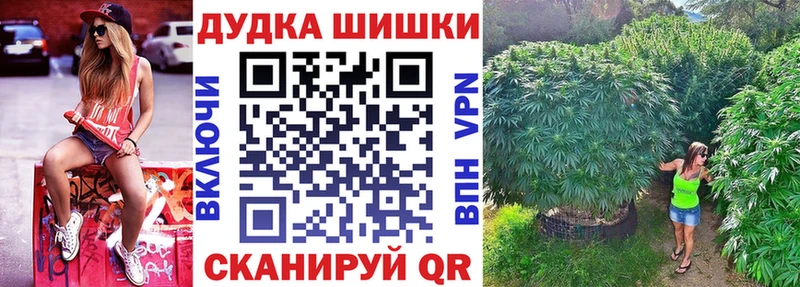 купить наркотики сайты  mega tor  Бошки Шишки AK-47  Алапаевск 